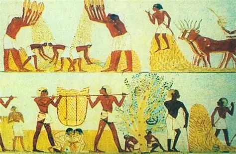 البقوليات في مصر القديمة