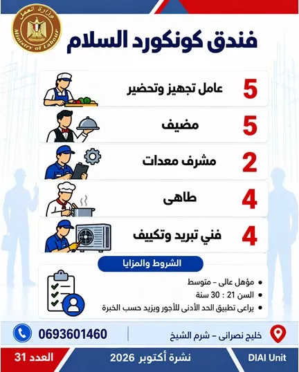 وظائف وزارة العمل الجديدة 2026