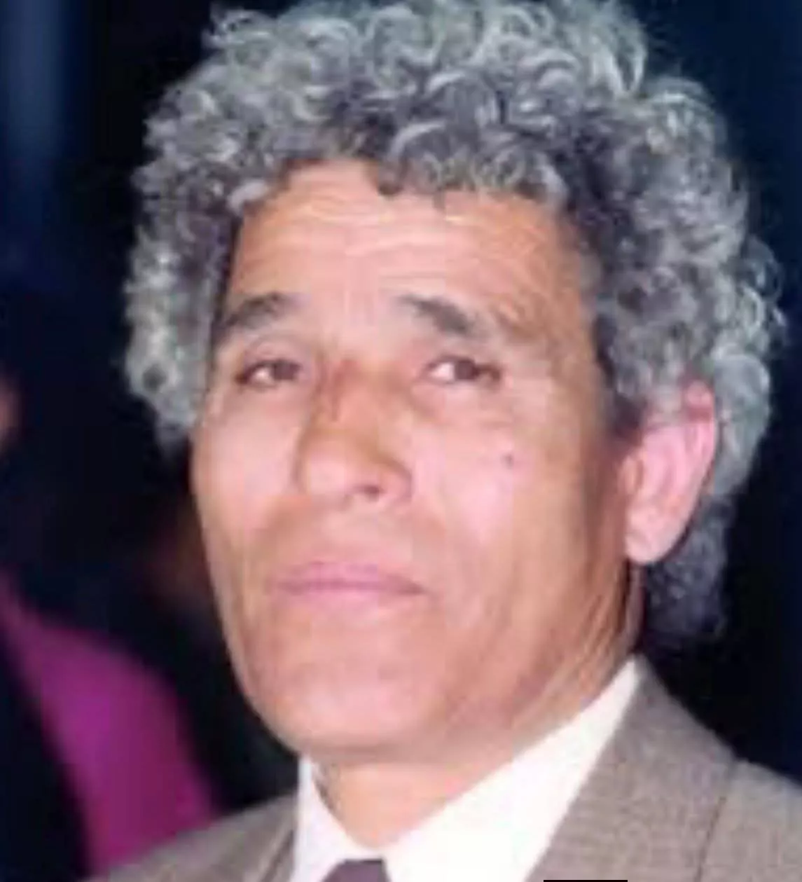 محمد عفيفي مطر