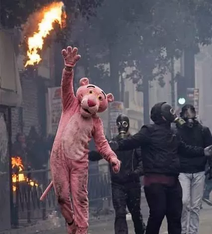 مظاهرات فرنسا