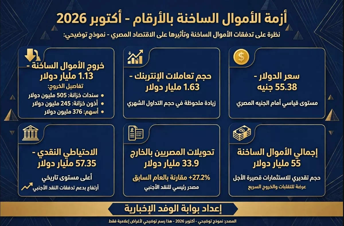 <strong>أزمة الأموال الساخنة بالأرقام</strong>