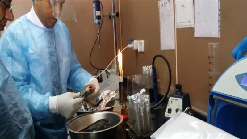 فحص عينات من أنواع الأسماك المختلفة في معمل سلامة الغذاء بجامعه دمنهور