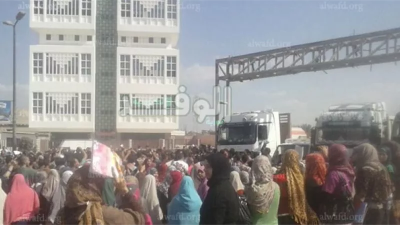 طلاب دمنهور يقطعون الطريق الزراعي