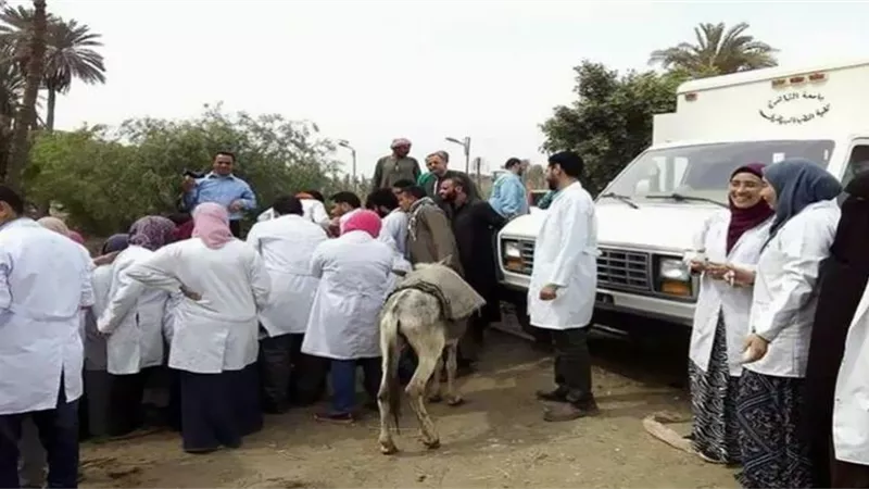 صندوق التأمين على الثروة الحيوانية ينظم قافلة بيطرية علاجية إرشادية بمحافظة البحيرة