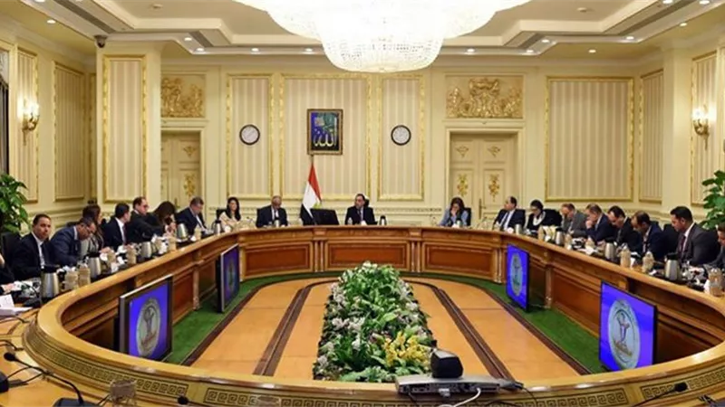 الوزراء: لجنة متخصصة لوضع حلول عاجلة لسوق الأسمدة