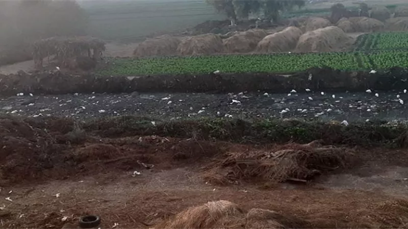 الأهالى تستغيث من مصرف سبرباى بسبب غرق الأراضى
