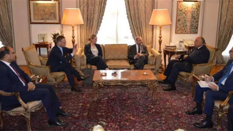 وزير الخارجية يستقبل رئيس مؤسسة 