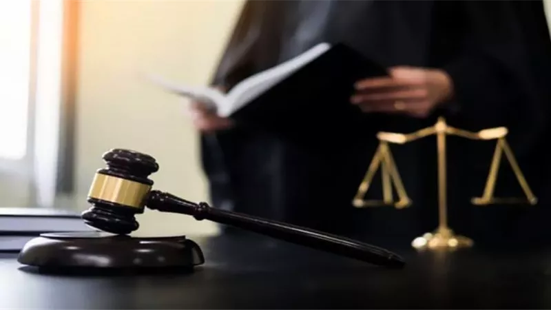 استكمال محاكمة 13 متهمًا في رشوة جامعة دمنهور..غدًا