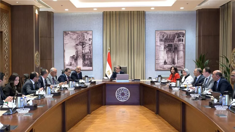 مدبولي يستعرض موقف مشروعات الطاقة الجديدة والمتجددة طبقاً لرؤية 2040