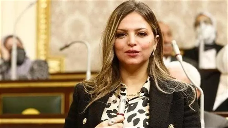 سؤال برلماني حول خطة جذب الطلاب إلى تخصصات العصر