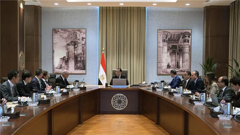 مدبولي يلتقي مُمثل 