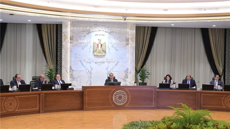 مدبولى: توجيه رئاسي بالإسراع في طرح 4 شركات للقوات المسلحة ضمن برنامج الطروحات الحكومية