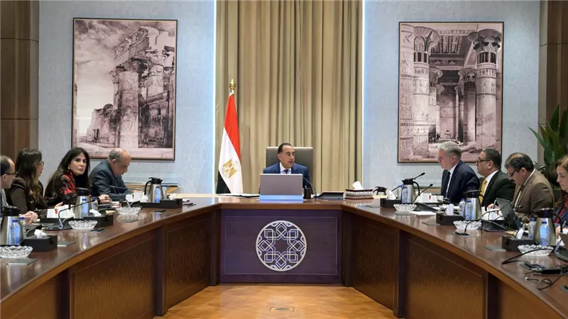 مدبولى يُتابع مع وزيري الكهرباء والبترول جهود توفير احتياجات الطاقة خلال الصيف