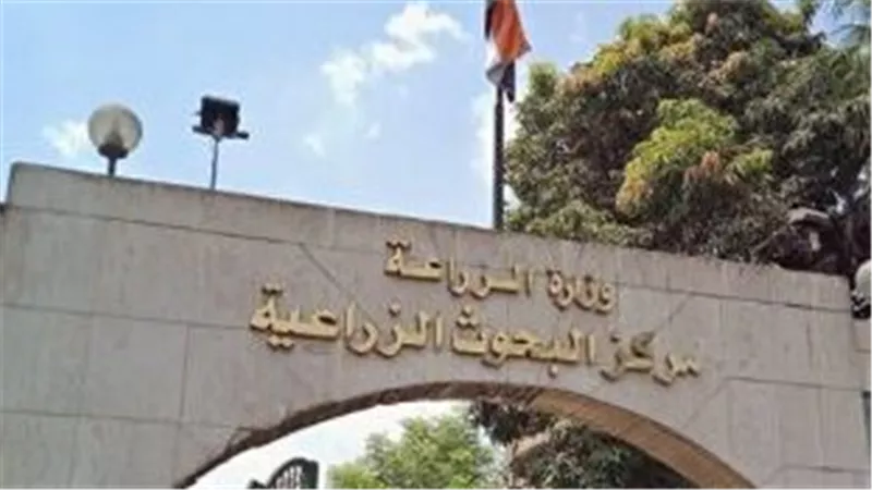 مركز البحوث الزراعية 