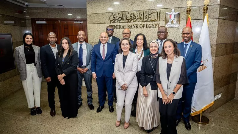 المركزي المصري يستضيف مجموعة عمل تقرير الاستقرار المالي الإفريقي