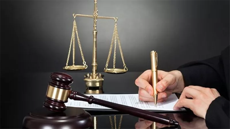 حكم بحبس رئيس شركة كايرو كونسلت للتنمية العقارية ونائبة لمدة سنتين مع الشغل
