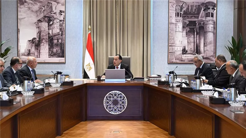 رئيس الوزراء يتابع الإجراءات المتخذة لتوفير اللحوم الحمراء    
