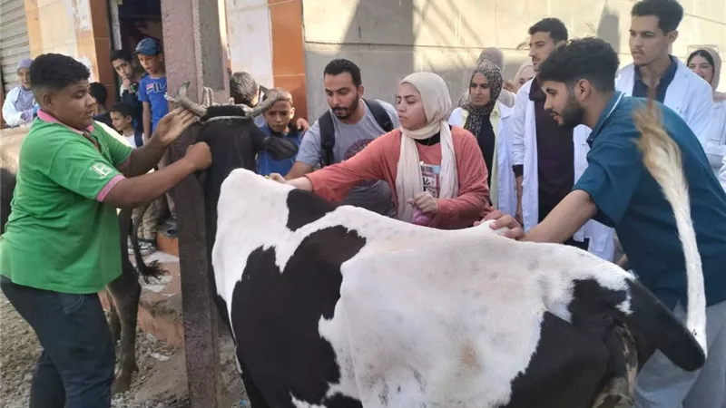 جامعة دمنهور تطلق قافلة خدمات تنموية شاملة بقرية منشأة حمور