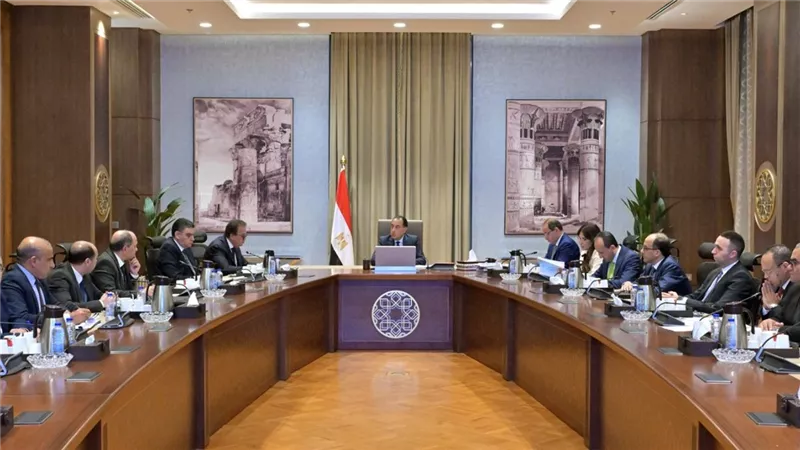 رئيس الوزراء يُتابع توافر الأدوية وموقف سداد مستحقات الشركات العاملة بقطاع الدواء