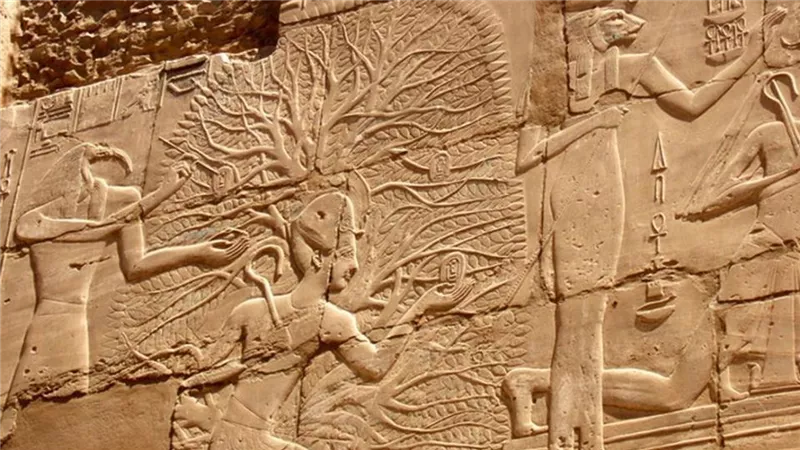 خبير آثار: عيد ميلاد حورس وشجرة أوزوريس هدية مصر للعالم