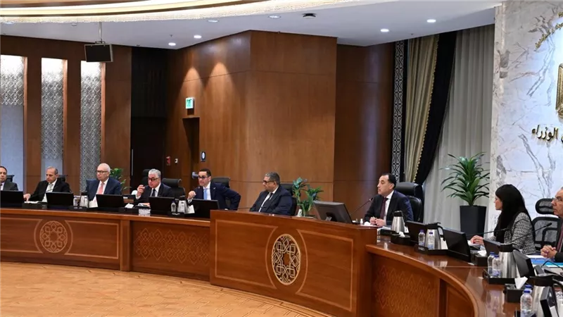 توزيع 50% من أرباح  شركات صندوق مصر السيادى  للخزانة العامة للدولة