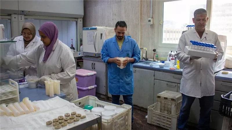 الزراعة: انخفاض ملحوظ في متبقيات المبيدات بالمنتجات الزراعية المصرية
