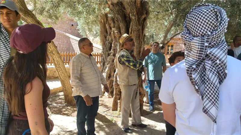 دير سانت كاترين يدخل مجال الطاقة النظيفة 