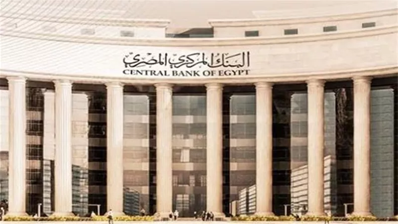 مصر تعد وتنشر أول تقرير للاستقرار المالي على مستوى أفريقيا