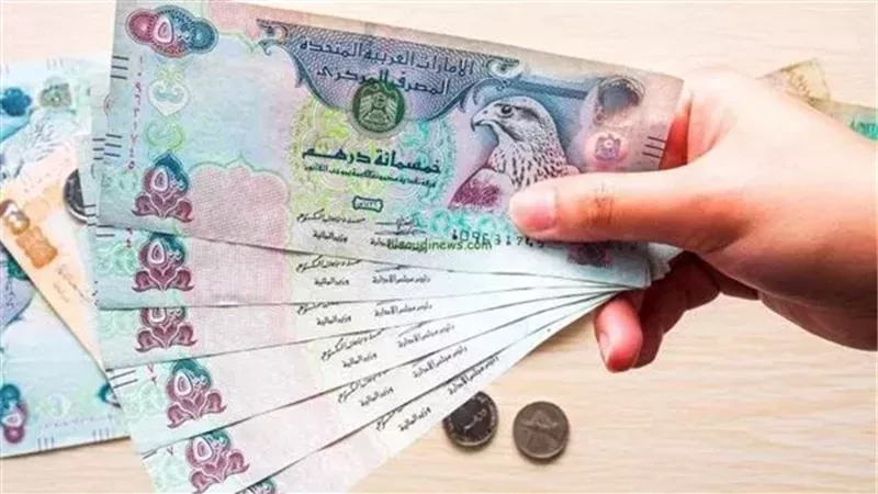 1000 درهم إماراتي بكام جنيه؟ أسعار الصرف اليوم الأحد 25 أكتوبر 