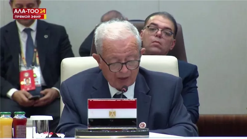 مصر أمام قمة منظمة شنغهاي: ندعو لإصلاح مجلس الأمن ومنظومة الديون