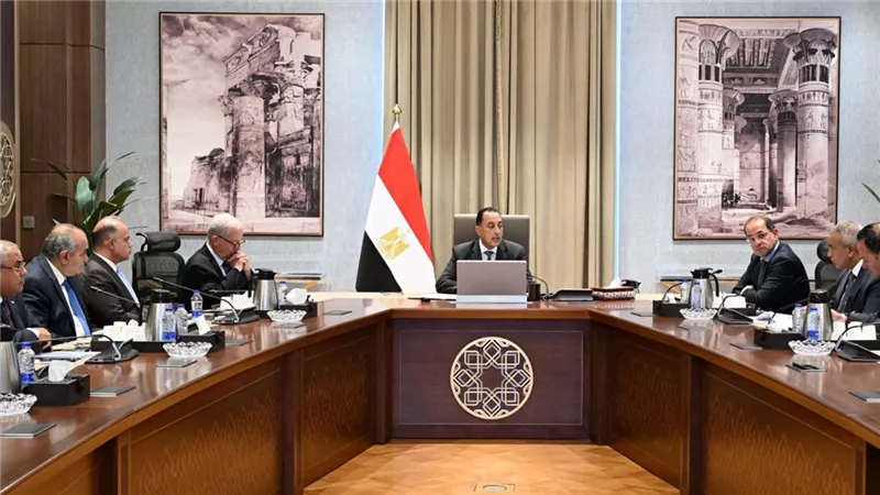 رئيس الوزراء يتابع إعادة هيكلة وتطوير وحوكمة الشركات المملوكة للدولة  