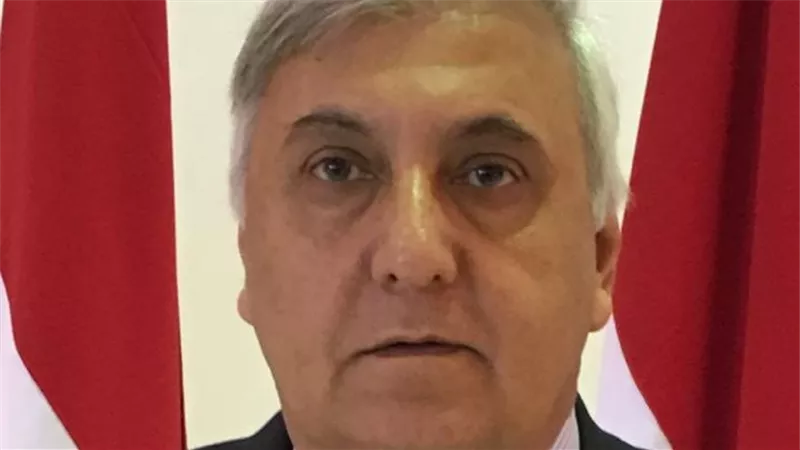 السفير فهمي فايد:قمة العلمين تؤسس لإطار إقليمي يربط أمن القرن الأفريقي والبحر الأحمر والنيل