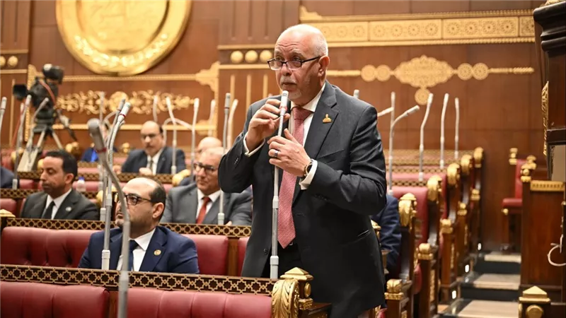 حازم الجندي: كلمة الرئيس السيسى في الندوة التثقيفية للقوات المسلحة رسالة وعي وطمأنة للمصريين