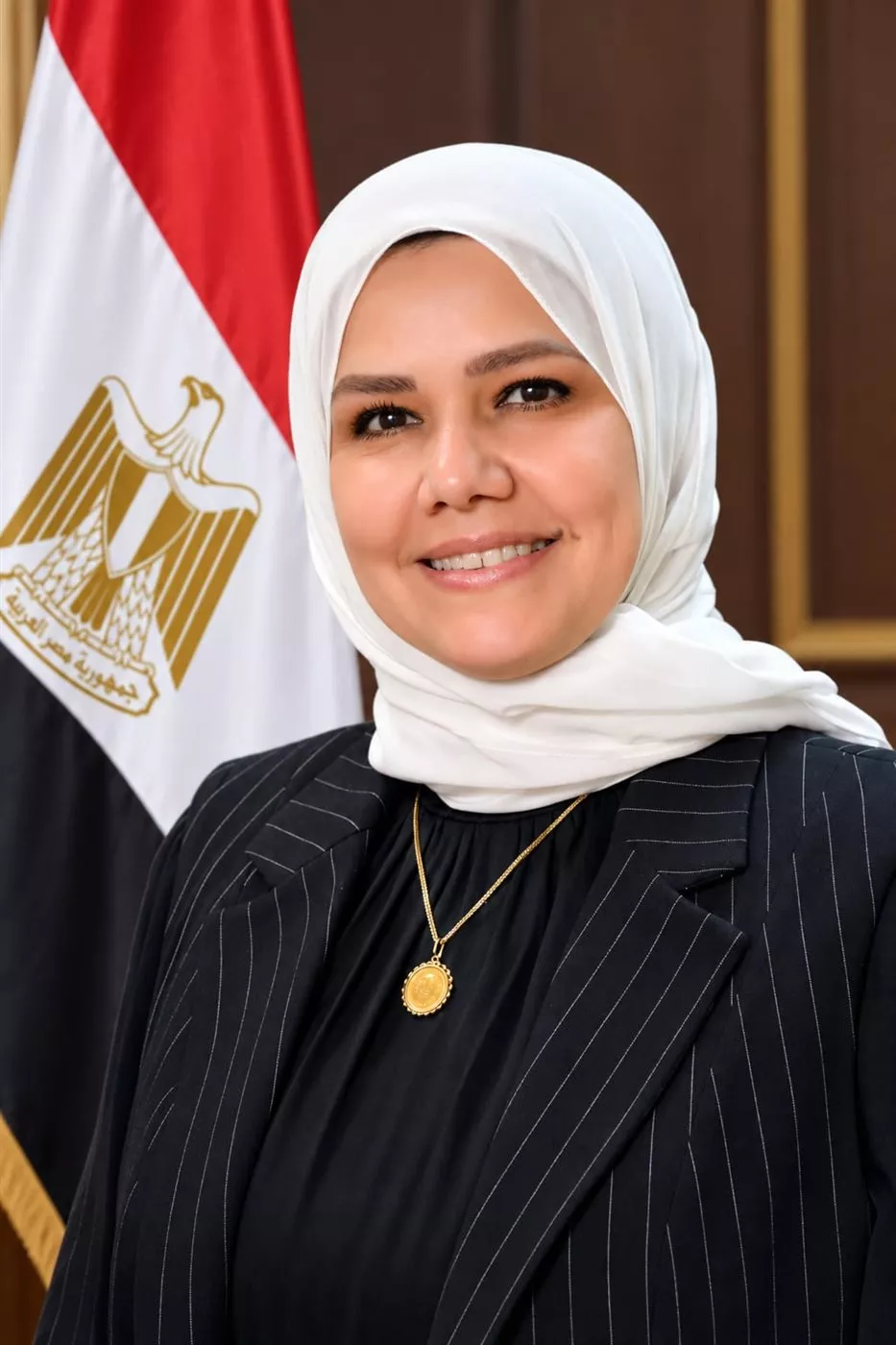 رشا عبد العال رئيس مصلحة الضرائب المصرية