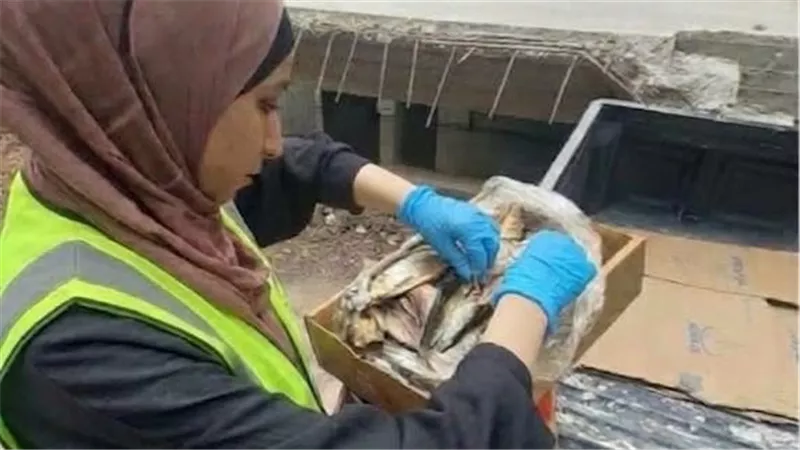  ضبط 1.5 طن رنجة يُشتبه في عدم صلاحيتها قبل طرحها للأسواق بالغربية