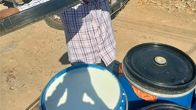 حملة صحية بسمالوط تضبط 2 طن لبن غير صالح للاستهلاك الآدمي