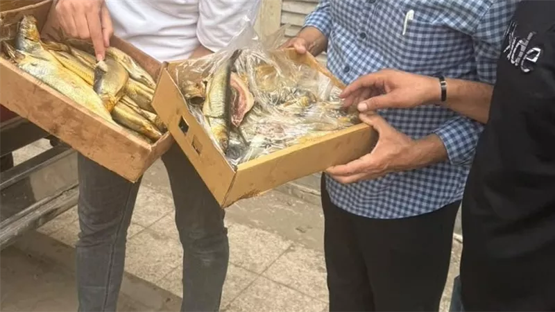 ضبط 2.7 طن رنجة مدخنة مشتبه في صلاحيتها وذبيحة خارج المجازر بالغربية