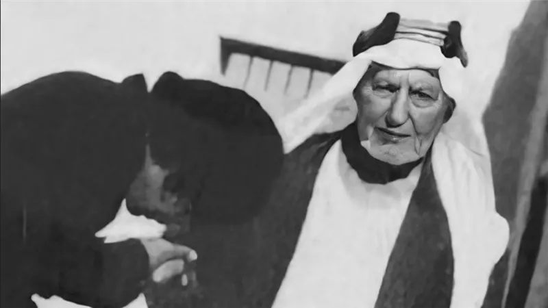 شيوخ سيناء 