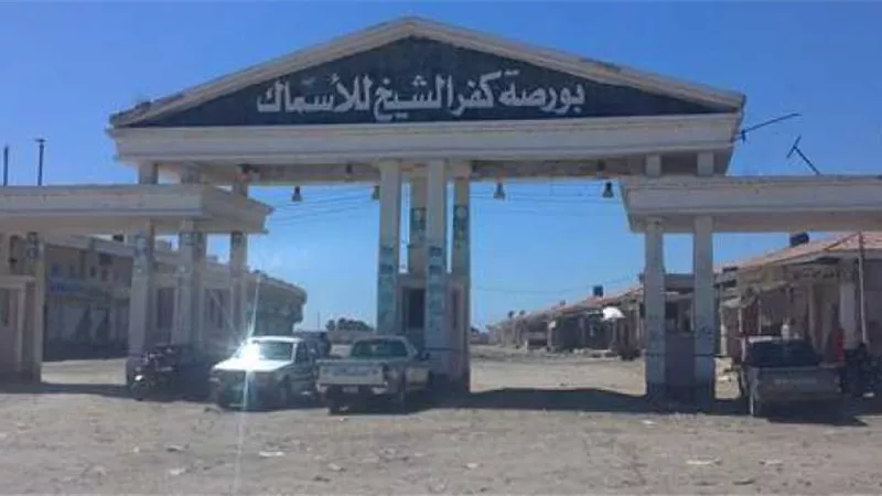 بورصة الأسماك بكفر الشيخ بين غزارة الإنتاج وأشجان المستهلكين