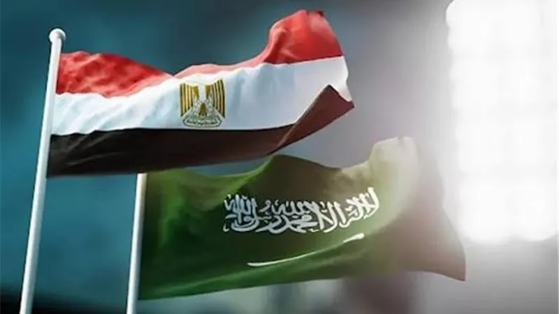 القاهرة والرياض في جبهة واحدة.. خبير: أمن السعودية من أمن مصر