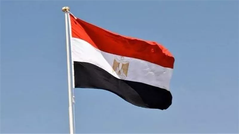 هل تنجح التحركات المصرية في احتواء صراعات المنطقة؟.. خبير يكشف