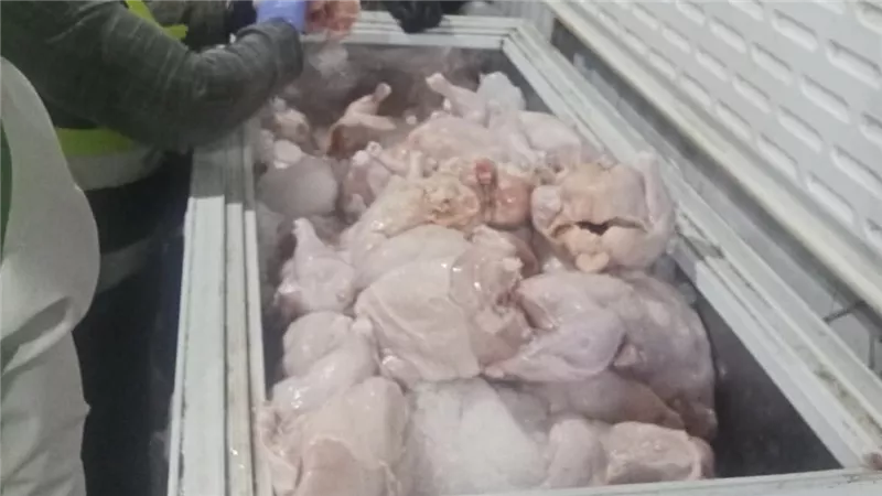 ضبط 288 كيلو لحوم ودواجن فاسدة في حملات تموينية مكثفة بالفيوم