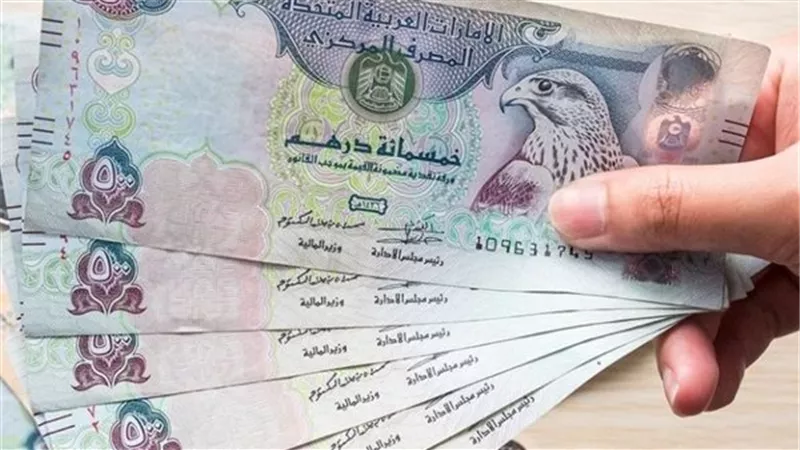 الدرهم الإماراتي 