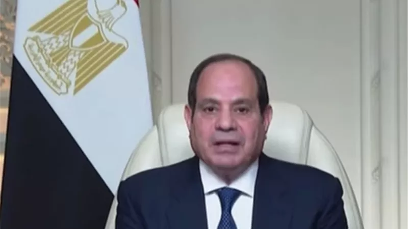 الرئيس السيسي     