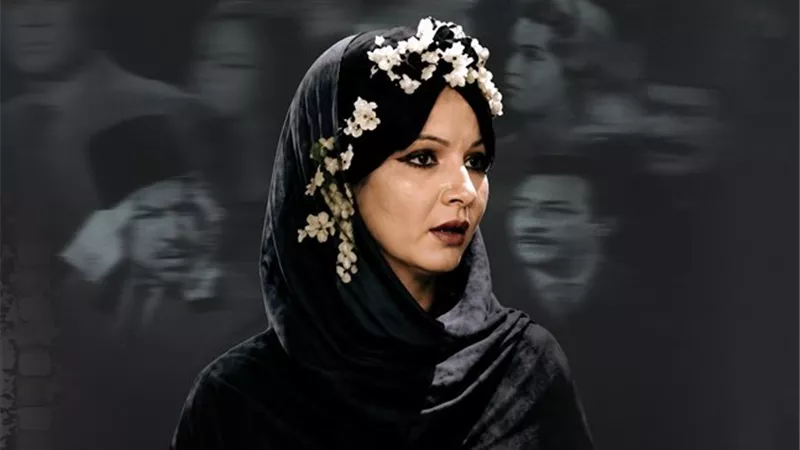 مهرجان القاهرة السينمائي الدولي يفتح باب اعتماد الطلاب