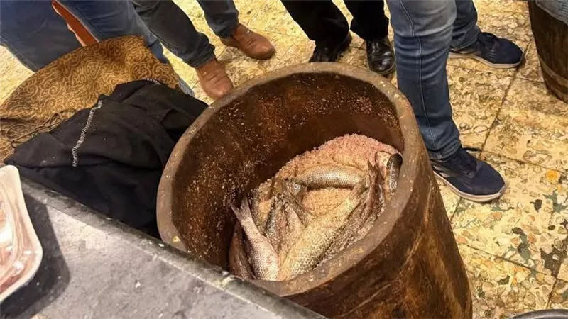 حملات رقابية بكفر الشيخ تضبط فسيخًا مجهول المصدر ولحومًا مخالفة