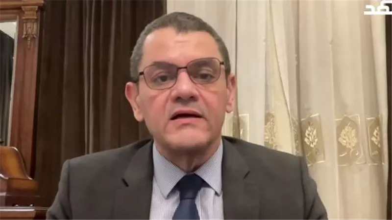  السفير نادر زكي    
